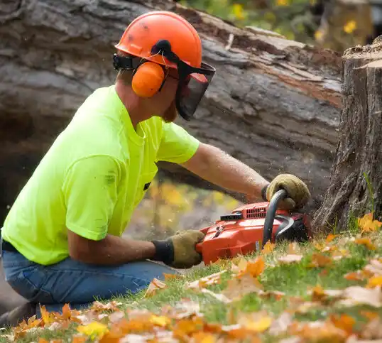 tree services Rosepine